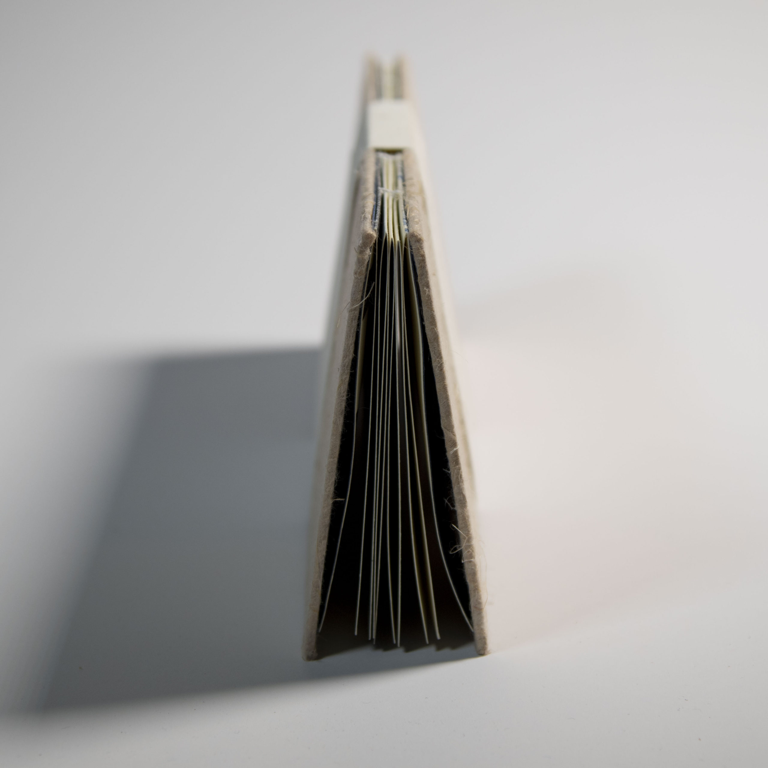 Diseño editorial-El bosque