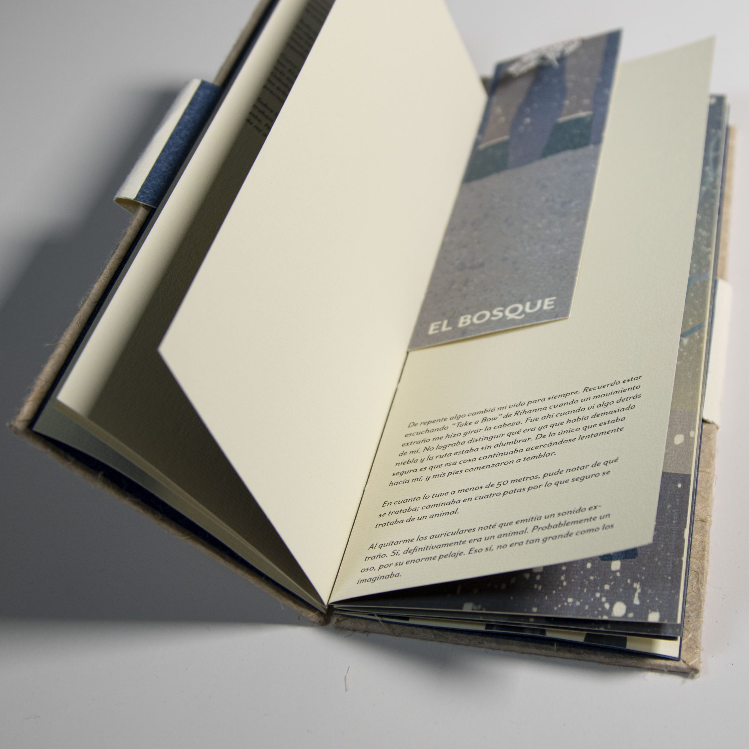 Diseño editorial-El bosque